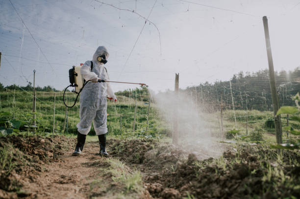 Best Commercial Pest Control Services  in Portland, TX
