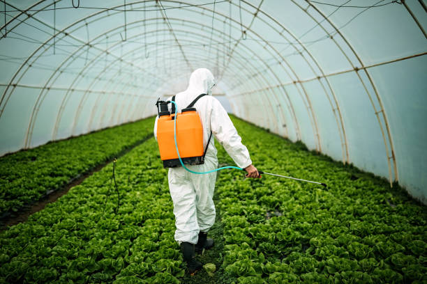 Best Local Pest Control Services  in Portland, TX