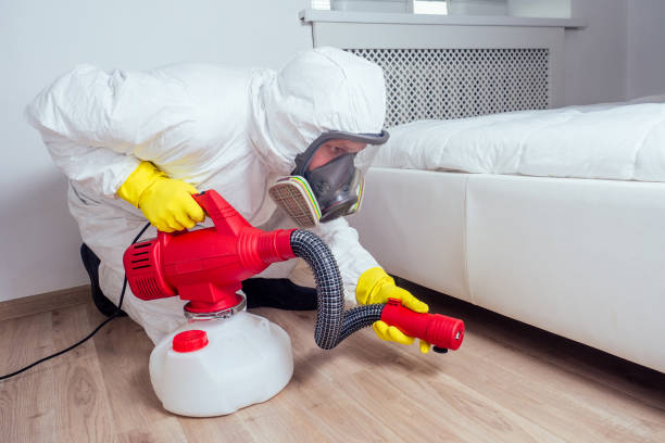 Best Flea Control Services  in Portland, TX