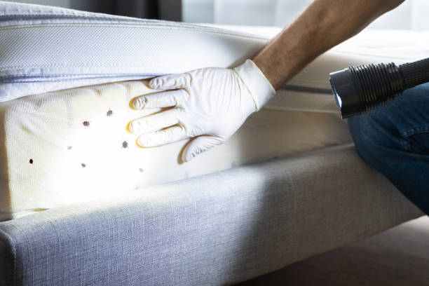 Pest Control for Restaurants in Portland, TX
