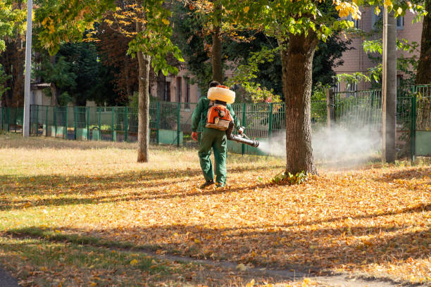 Best Insect Control  in Portland, TX
