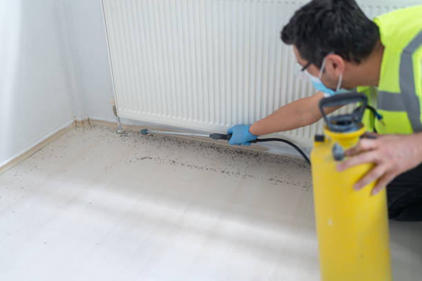 Professional Pest Control in Portland, TX